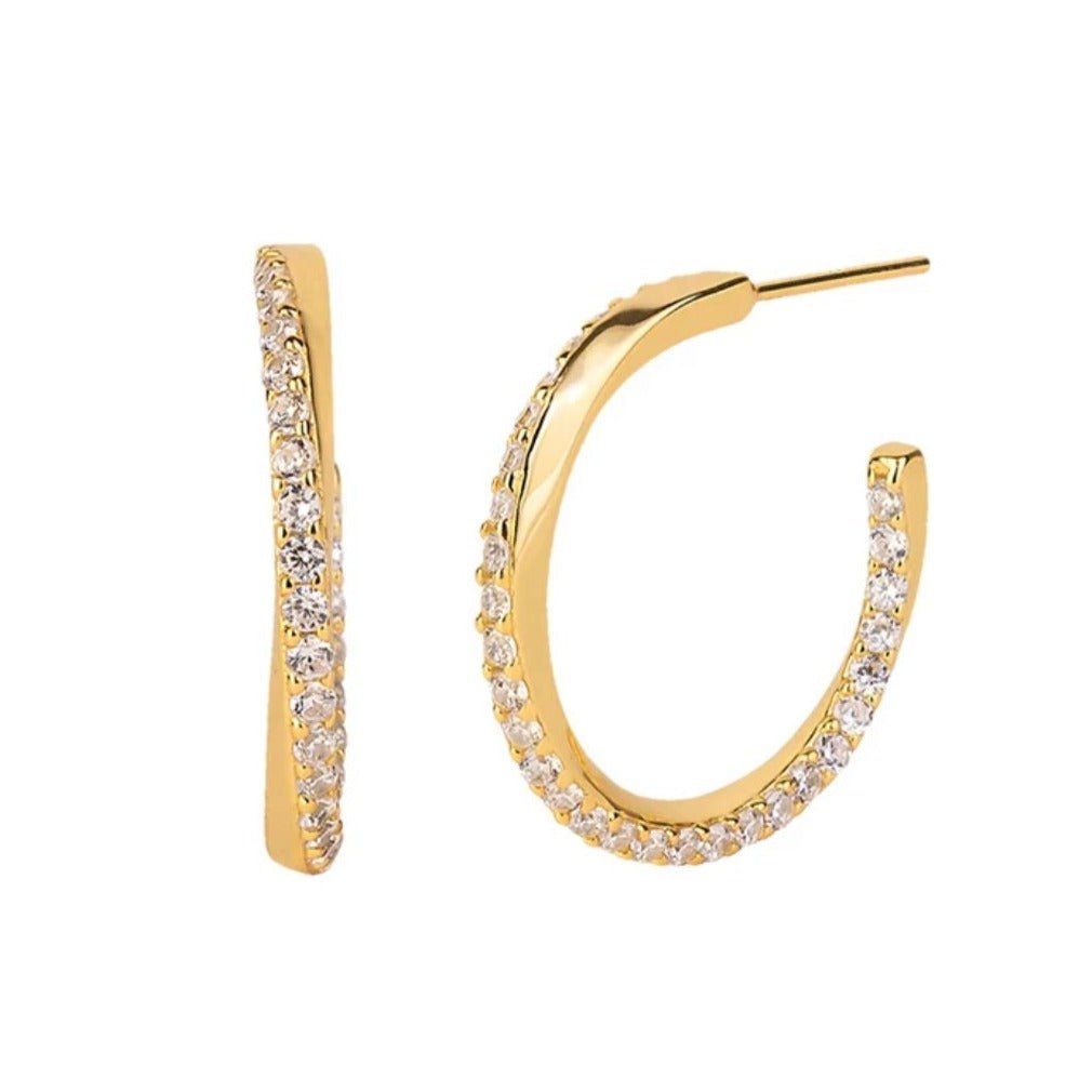 Designer earrings